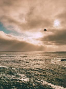 Arunkumar Ramalingam